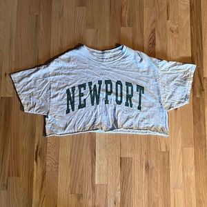 Brandy Melville Newport Gray Cropped Tee (OS)